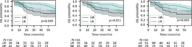 Figure 2 for Graph data modelling for outcome prediction in oropharyngeal cancer patients