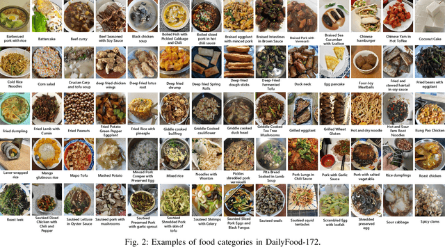 Figure 2 for From Canteen Food to Daily Meals: Generalizing Food Recognition to More Practical Scenarios