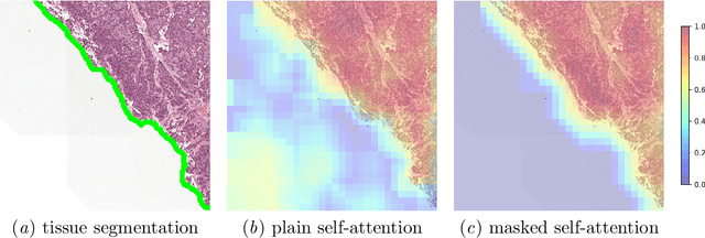 Figure 2 for Masked Attention as a Mechanism for Improving Interpretability of Vision Transformers