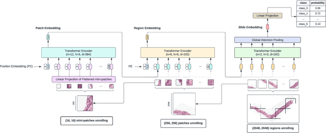 Figure 3 for Masked Attention as a Mechanism for Improving Interpretability of Vision Transformers