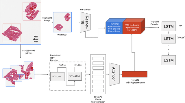 Figure 1 for Automatic Report Generation for Histopathology images using pre-trained Vision Transformers