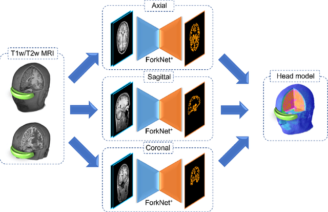 Figure 4 for SHARM: Segmented Head Anatomical Reference Models