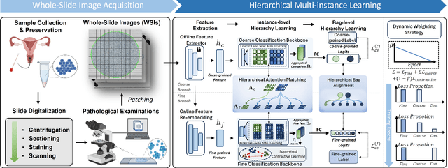 Figure 2 for HMIL: Hierarchical Multi-Instance Learning for Fine-Grained Whole Slide Image Classification