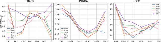 Figure 4 for HMIL: Hierarchical Multi-Instance Learning for Fine-Grained Whole Slide Image Classification