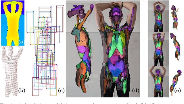 Figure 1 for LOOC: Localizing Organs using Occupancy Networks and Body Surface Depth Images