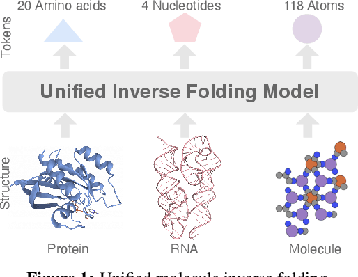 Figure 1 for UniIF: Unified Molecule Inverse Folding