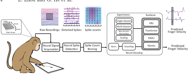 Figure 1 for Benchmarking Neural Decoding Backbones towards Enhanced On-edge iBCI Applications