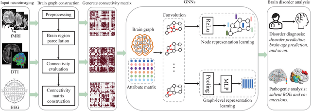 Figure 1 for Graph Neural Networks for Brain Graph Learning: A Survey