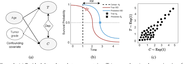 Figure 1 for Practical Evaluation of Copula-based Survival Metrics: Beyond the Independent Censoring Assumption