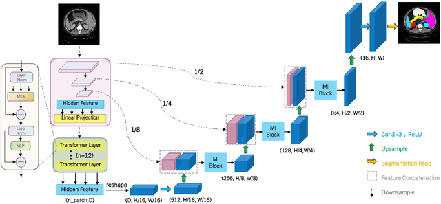 Figure 1 for Medical Image Segmentation via Sparse Coding Decoder