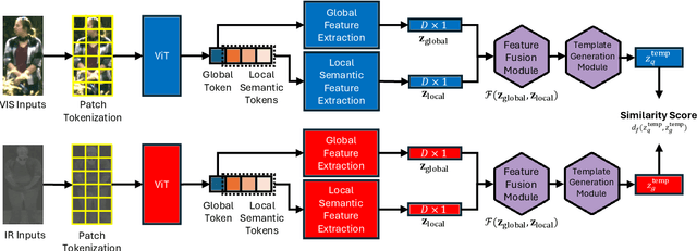 Figure 3 for Multi-Domain Biometric Recognition using Body Embeddings