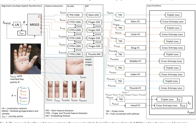 Figure 2 for Improving Hand Recognition in Uncontrolled and Uncooperative Environments using Multiple Spatial Transformers and Loss Functions