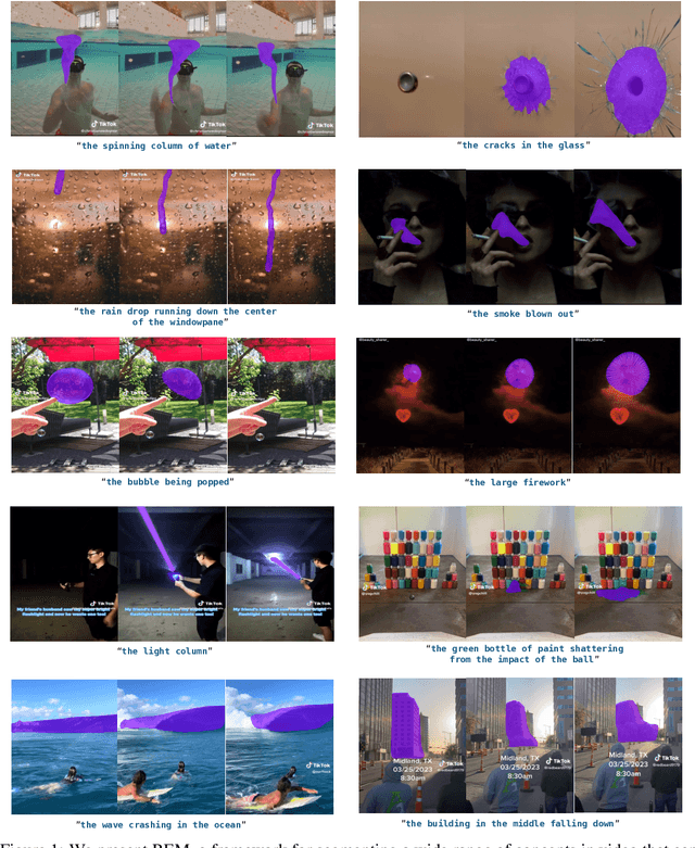 Figure 1 for ReferEverything: Towards Segmenting Everything We Can Speak of in Videos