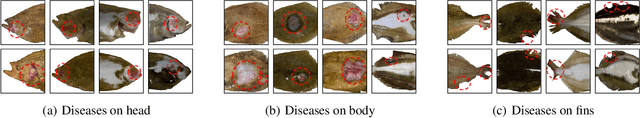 Figure 1 for Flatfish Disease Detection Based on Part Segmentation Approach and Disease Image Generation