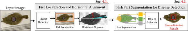 Figure 3 for Flatfish Disease Detection Based on Part Segmentation Approach and Disease Image Generation