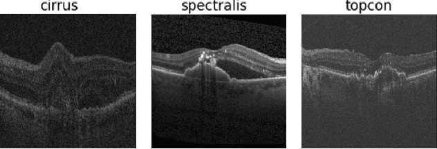 Figure 2 for Domain Generalization by Learning from Privileged Medical Imaging Information