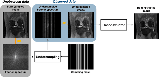 Figure 2 for Learning to sample in Cartesian MRI