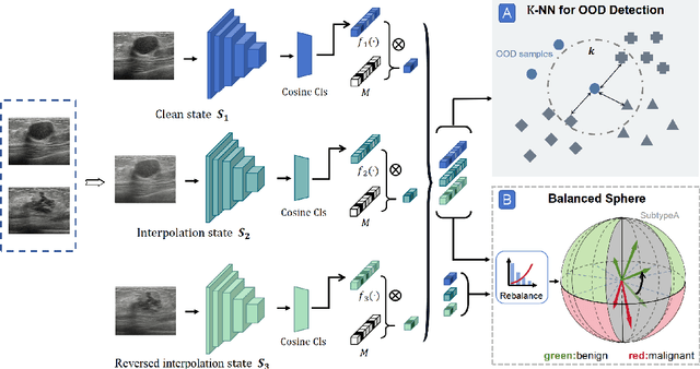Figure 3 for TriAug: Out-of-Distribution Detection for Imbalanced Breast Lesion in Ultrasound
