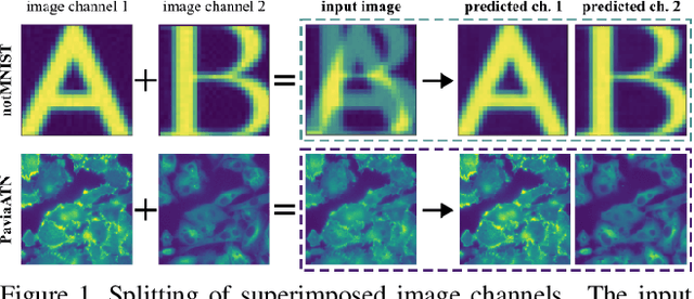 Figure 1 for μSplit: efficient image decomposition for microscopy data