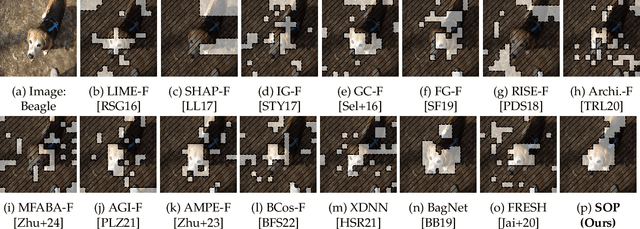 Figure 3 for Sum-of-Parts Models: Faithful Attributions for Groups of Features