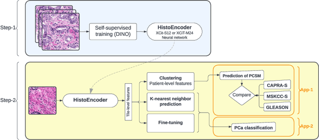 Figure 1 for HistoEncoder: a digital pathology foundation model for prostate cancer