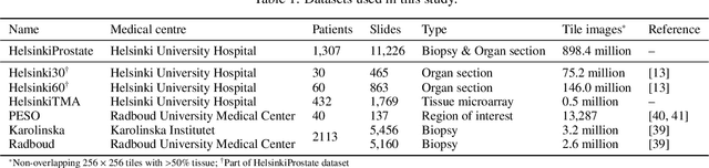 Figure 2 for HistoEncoder: a digital pathology foundation model for prostate cancer