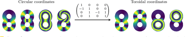 Figure 2 for Toroidal Coordinates: Decorrelating Circular Coordinates With Lattice Reduction