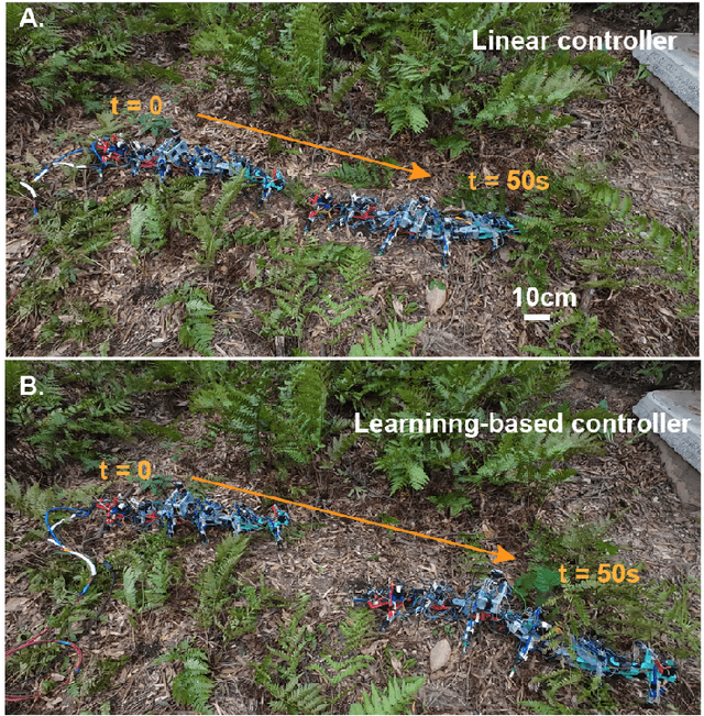 Figure 1 for Learning to enhance multi-legged robot on rugged landscapes