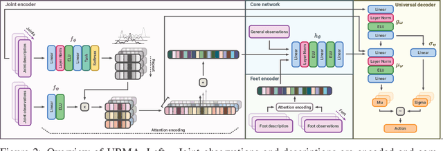 Figure 2 for One Policy to Run Them All: an End-to-end Learning Approach to Multi-Embodiment Locomotion