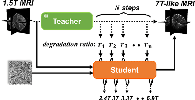 Figure 3 for Distillation-Driven Diffusion Model for Multi-Scale MRI Super-Resolution: Make 1.5T MRI Great Again