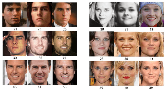 Figure 4 for Synthetic Face Ageing: Evaluation, Analysis and Facilitation of Age-Robust Facial Recognition Algorithms