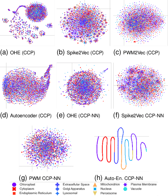 Figure 1 for Nearest Neighbor CCP-Based Molecular Sequence Analysis