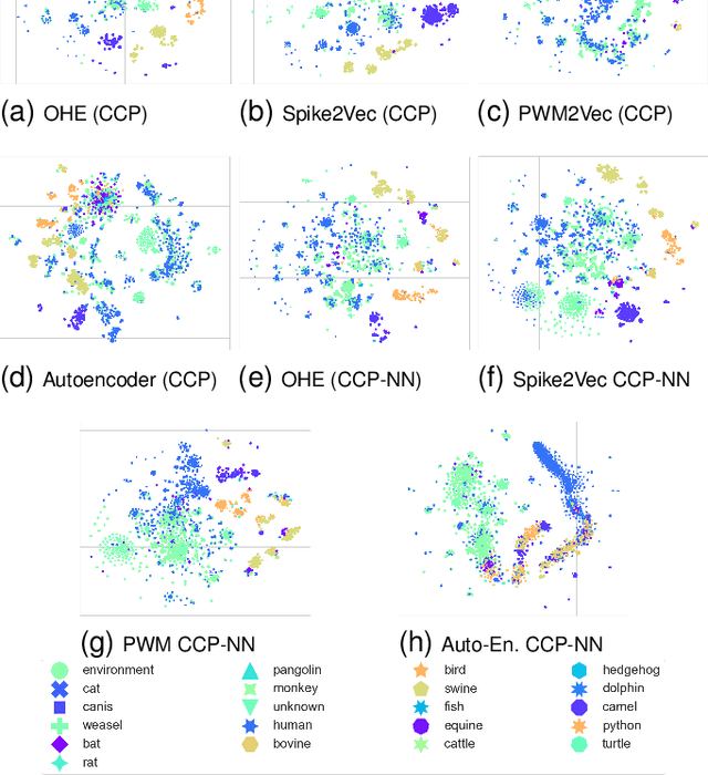 Figure 2 for Nearest Neighbor CCP-Based Molecular Sequence Analysis