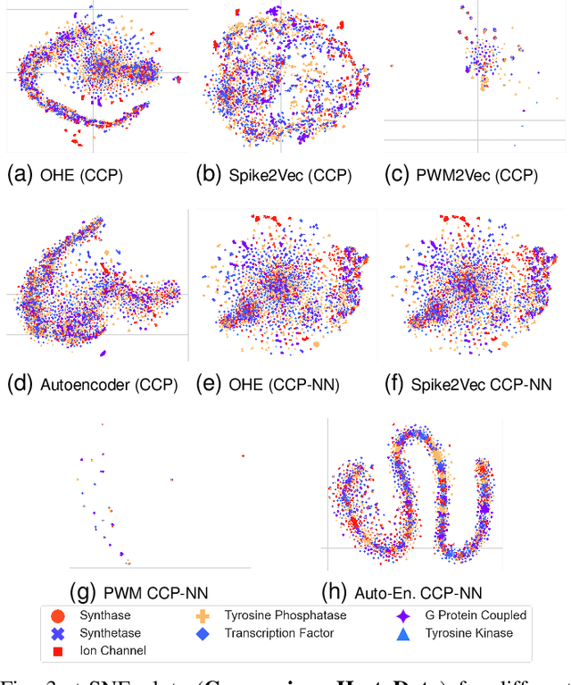 Figure 3 for Nearest Neighbor CCP-Based Molecular Sequence Analysis