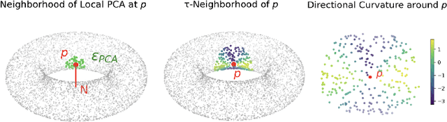 Figure 2 for Principal Curvatures Estimation with Applications to Single Cell Data