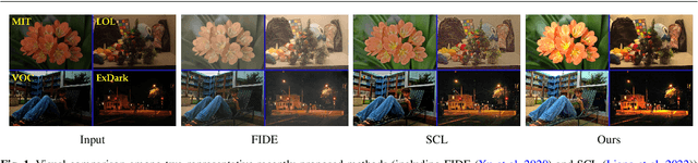 Figure 1 for Bilevel Fast Scene Adaptation for Low-Light Image Enhancement