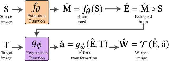 Figure 4 for ERNet: Unsupervised Collective Extraction and Registration in Neuroimaging Data