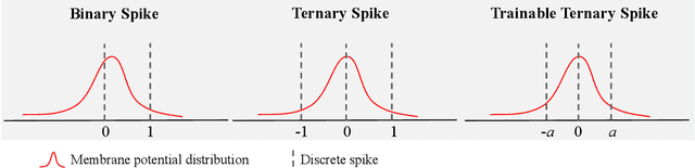 Figure 1 for Ternary Spike: Learning Ternary Spikes for Spiking Neural Networks