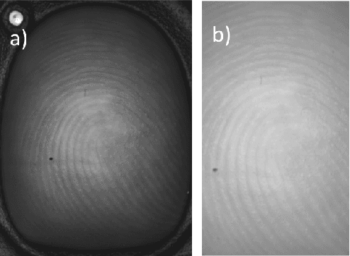 Figure 1 for User Authentication and Vital Signs Extraction from Low-Frame-Rate and Monochrome No-contact Fingerprint Captures