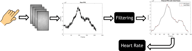 Figure 2 for User Authentication and Vital Signs Extraction from Low-Frame-Rate and Monochrome No-contact Fingerprint Captures