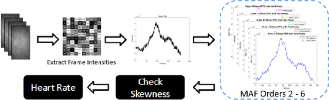 Figure 3 for User Authentication and Vital Signs Extraction from Low-Frame-Rate and Monochrome No-contact Fingerprint Captures