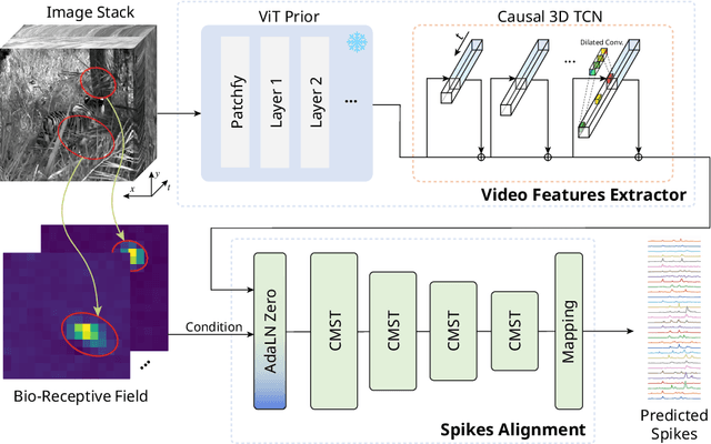 Figure 1 for Aligning Neuronal Coding of Dynamic Visual Scenes with Foundation Vision Models