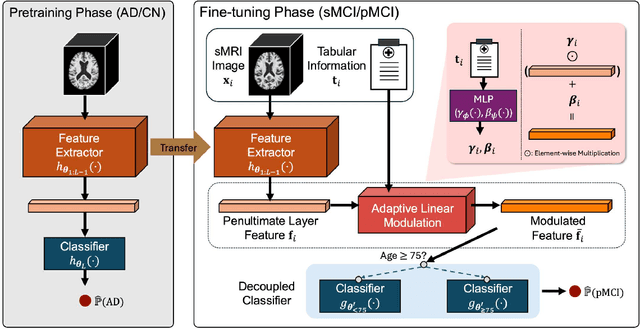 Figure 2 for DEAL: Decoupled Classifier with Adaptive Linear Modulation for Group Robust Early Diagnosis of MCI to AD Conversion