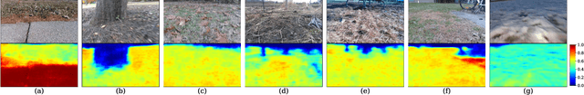 Figure 4 for W-RIZZ: A Weakly-Supervised Framework for Relative Traversability Estimation in Mobile Robotics