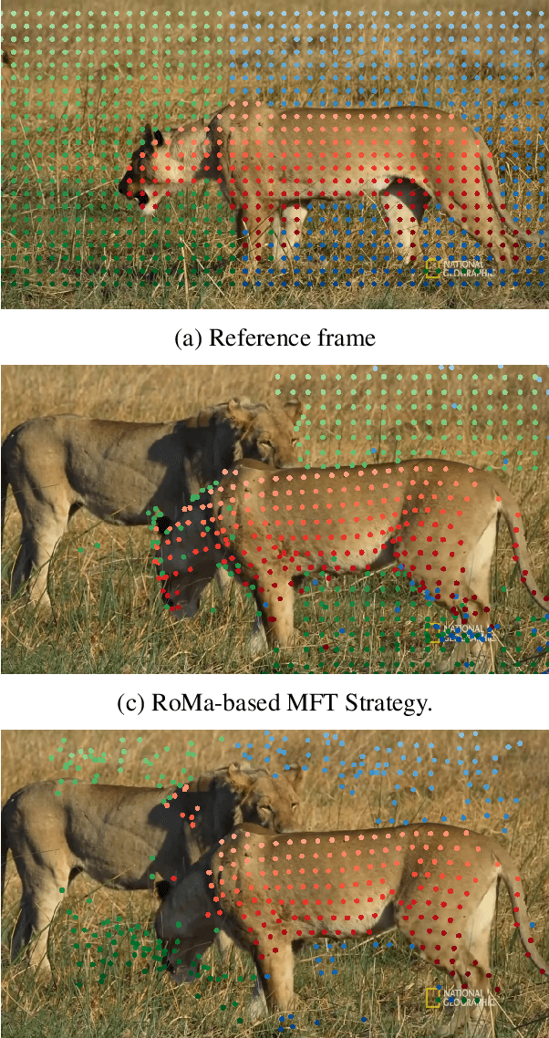 Figure 3 for Dense Matchers for Dense Tracking