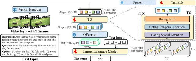 Figure 1 for Enhancing Temporal Modeling of Video LLMs via Time Gating