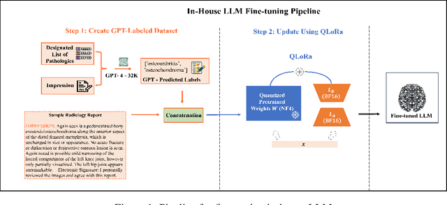 Figure 1 for Fine-Tuning In-House Large Language Models to Infer Differential Diagnosis from Radiology Reports