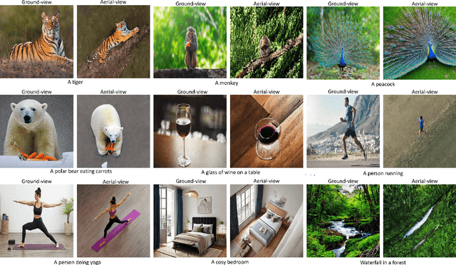 Figure 1 for Aerial Diffusion: Text Guided Ground-to-Aerial View Translation from a Single Image using Diffusion Models