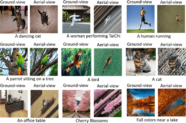 Figure 3 for Aerial Diffusion: Text Guided Ground-to-Aerial View Translation from a Single Image using Diffusion Models