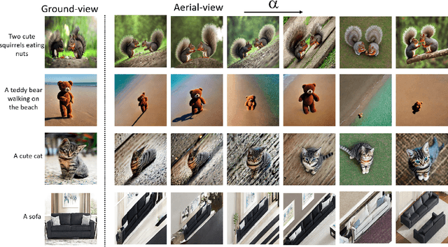 Figure 4 for Aerial Diffusion: Text Guided Ground-to-Aerial View Translation from a Single Image using Diffusion Models